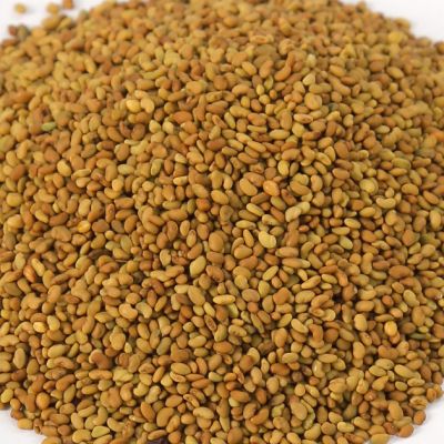 Alfalfa seeds