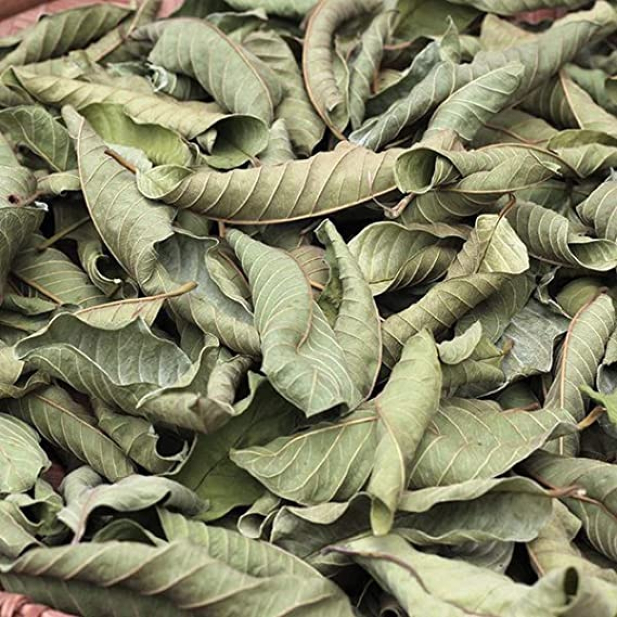 Dried guava