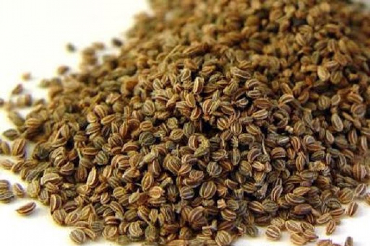 Parsley seeds