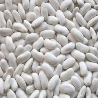 Dried white kidney beans